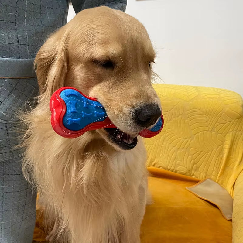 Premium Squeaky Dog Toys: Floatable Springy Stick and Bone for Tossing and Chasing