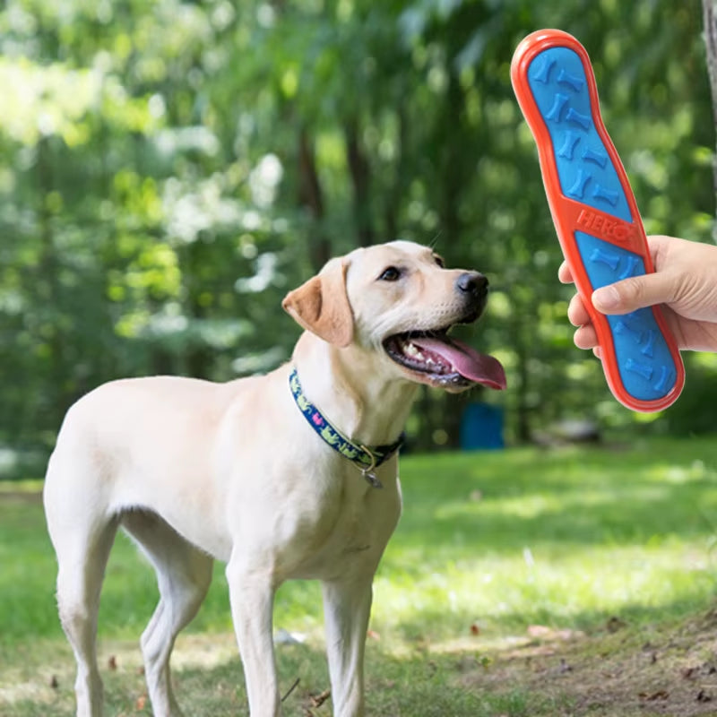 Premium Squeaky Dog Toys: Floatable Springy Stick and Bone for Tossing and Chasing