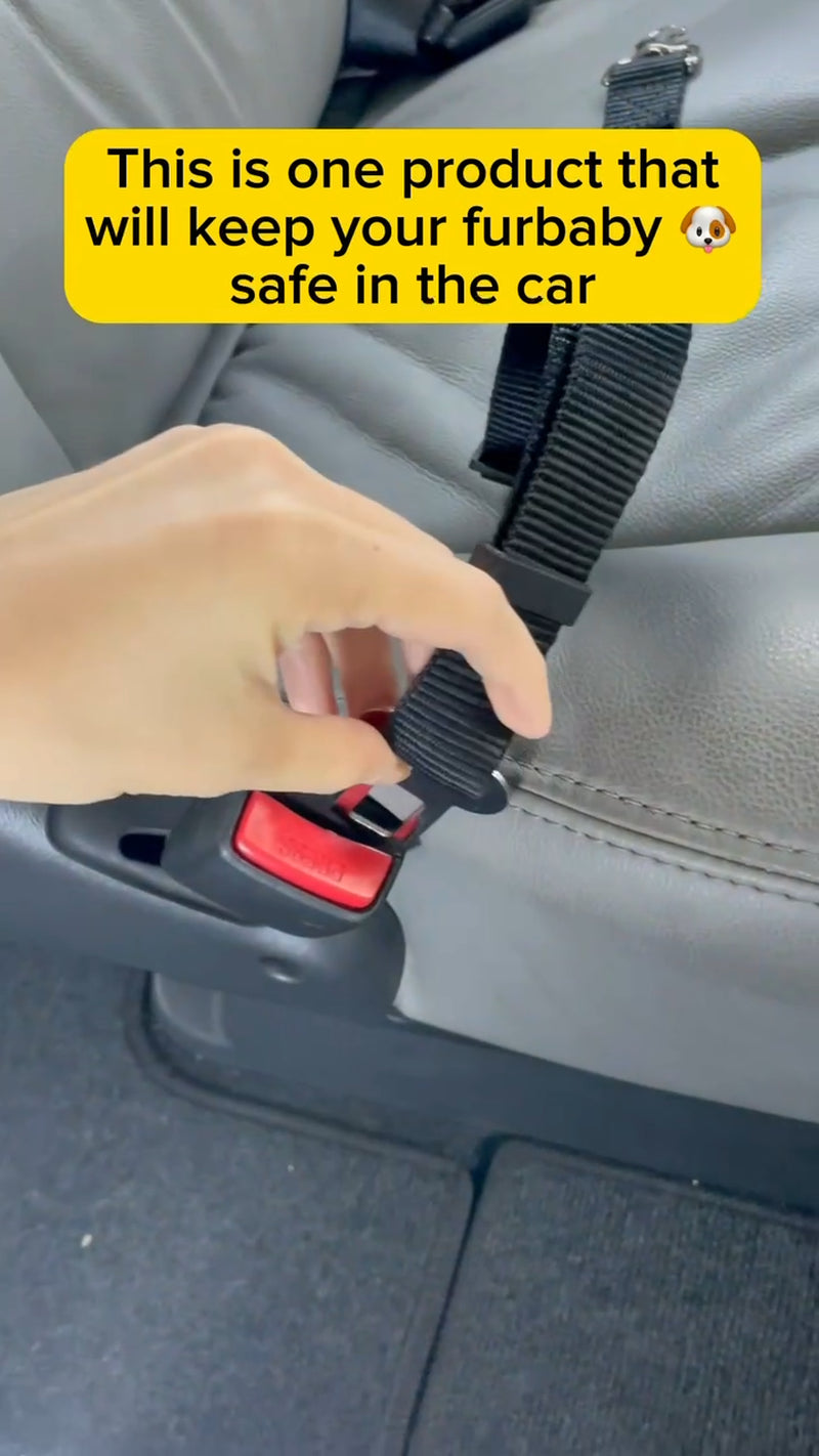 Adjustable Pet Dog Car Safety Harness with Seat Belt Restraint Strap