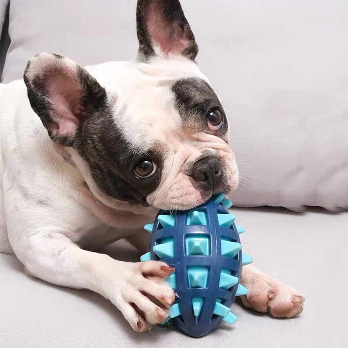 Durable Dog Toys for Aggressive Chewers - Squeaky Chew Ball Gift for Dogs